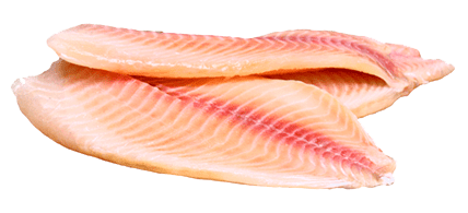 RECEITA PERS - MARICOTA GODOY (PEIXE)